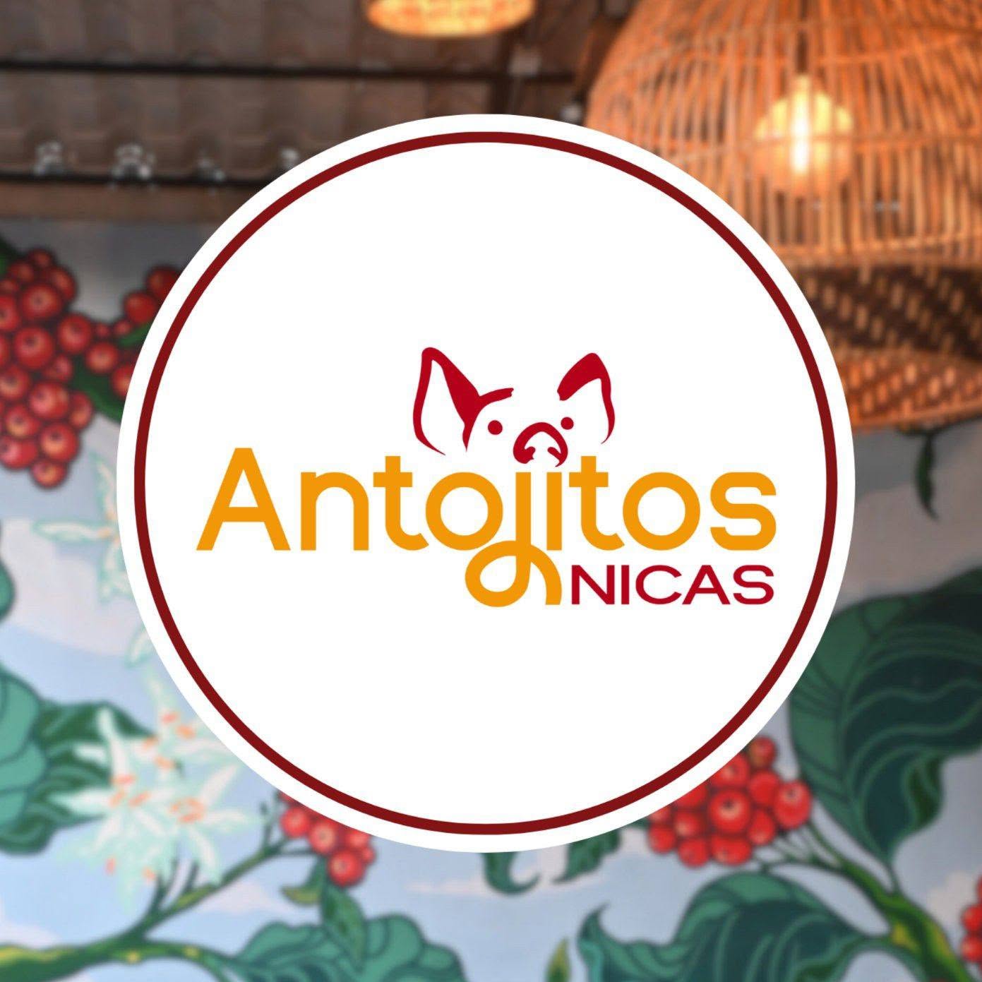 Antojitos Nicas